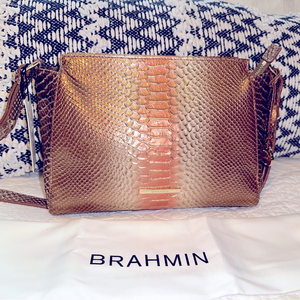 Brahmin hillary